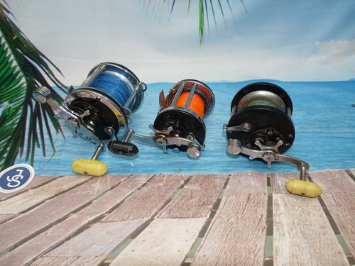 Penn sea fishing multiplier - 3,