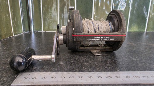 Daiwa sealine 250h fishing - sealine,