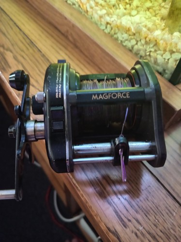 Daiwa mag force - force, fishing