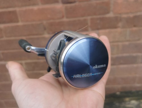 Okuma halogen 250 - halogen, bait