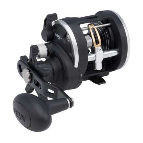 Penn rival levelwind - levelwind, 20